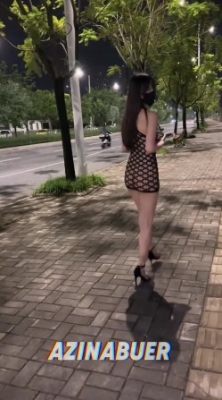 预览图4