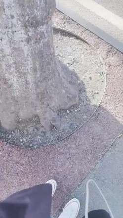 预览图7