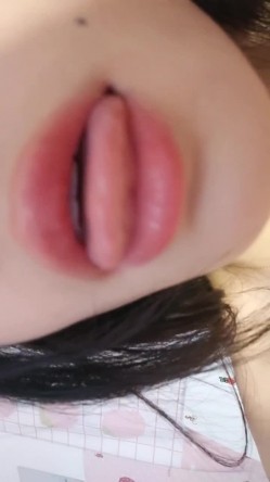 预览图13