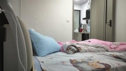 预览图5