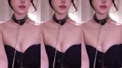 预览图4