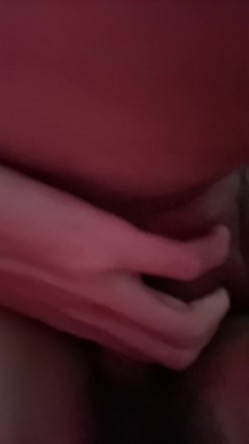 预览图5