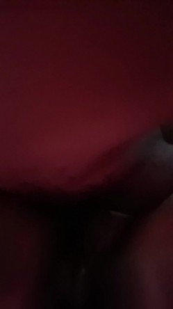 预览图9