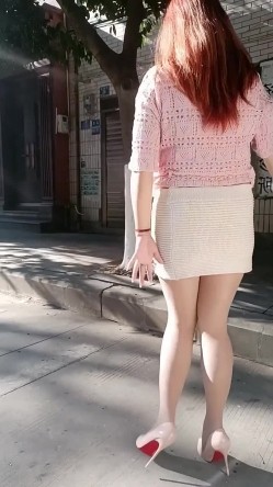 预览图4