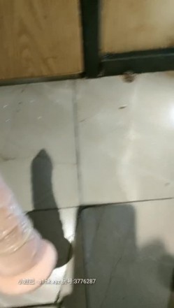 预览图10