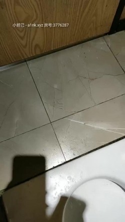 预览图15