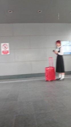 预览图15