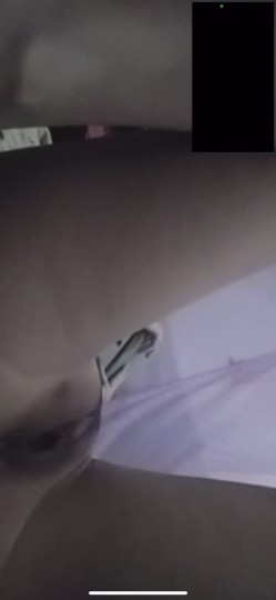 预览图5