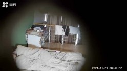预览图13