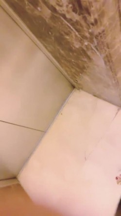 预览图5