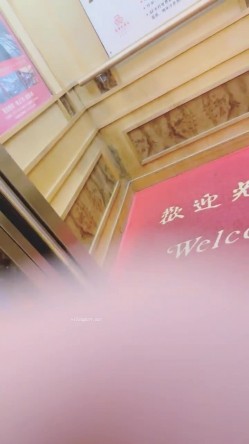 预览图6