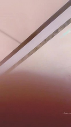 预览图13