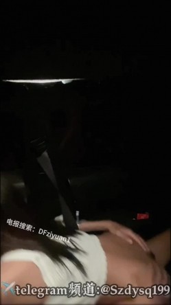 预览图6