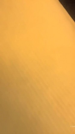 预览图11