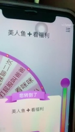 预览图13
