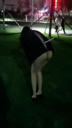 预览图4