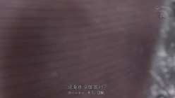 预览图5