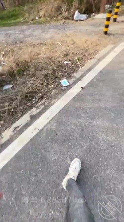 预览图11
