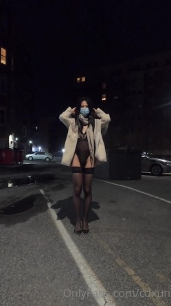 预览图8