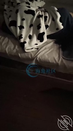 预览图4