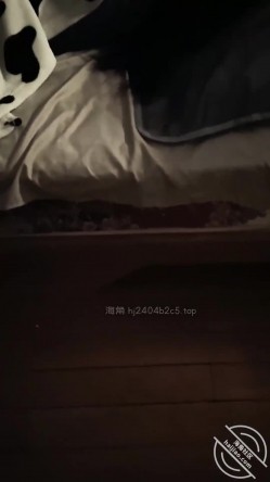 预览图5