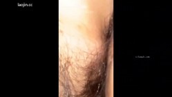 预览图5