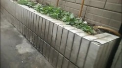 预览图7