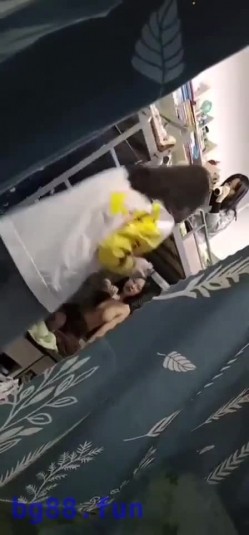 预览图11