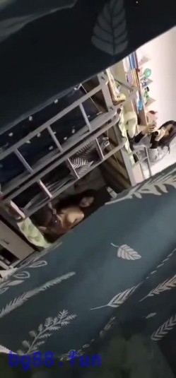 预览图13