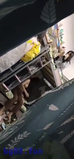 预览图14