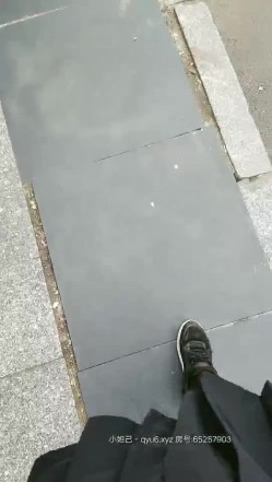 预览图3