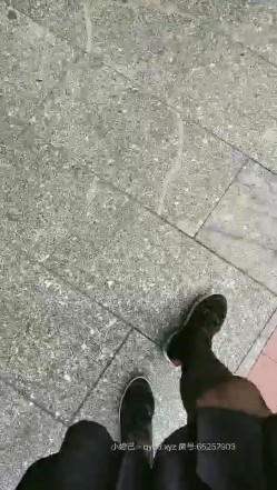 预览图4