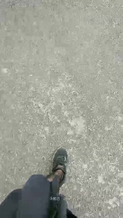 预览图5