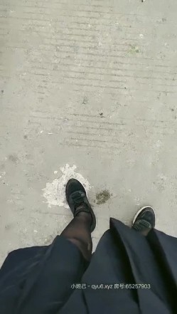 预览图6