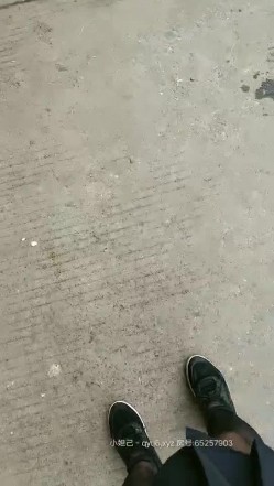 预览图8