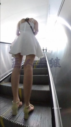 预览图4