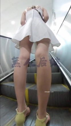 预览图8