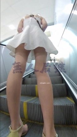 预览图12