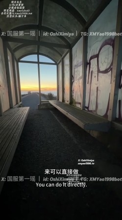 预览图11