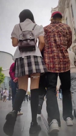 预览图8