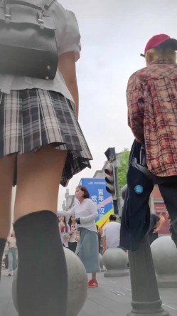 预览图12