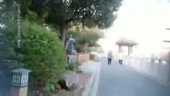 预览图14