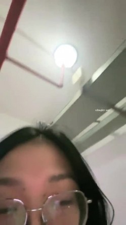 预览图5