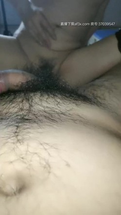 预览图8