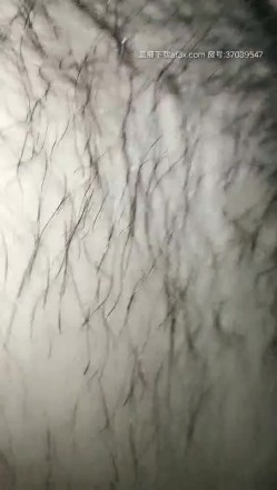 预览图9