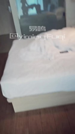 预览图11