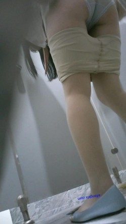 预览图5