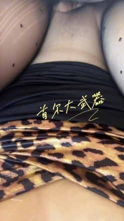 预览图4