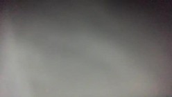 预览图16