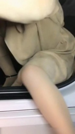 预览图9